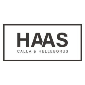 De Haas